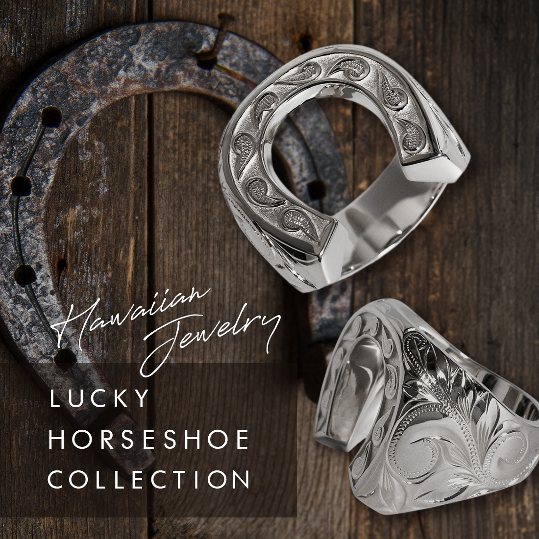 Horseshoe collection